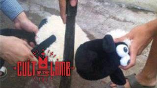 Cult of the Lamb membangun sekte O2J #indonesia #indogamer #livestream #gaming #shapeofdreams