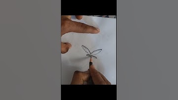 How to draw 3d butterfly !!easy drawing for kids!!3d butterfly drawing! nipun Bharat !simple drawing