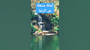 أمثلة مذهلة عن الرضا الدكتور محمد راتب النابلسي النابلسي الدعوة إلى الله الرضا قصة الله 