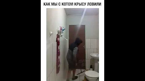 Как кот боится мышей
