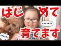 訳も分からず園芸初めてみた人たち。果たして。