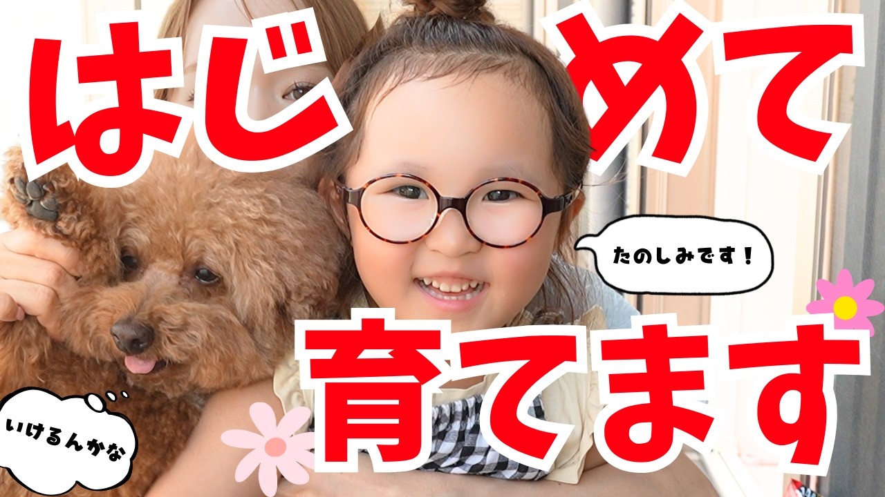 訳も分からず園芸初めてみた人たち。果たして。