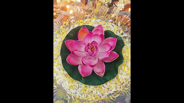 మా ఇంటి వరలక్ష్మీ వ్రతం. Maa inti Varalakshmi varatham.#shorts