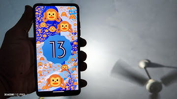 #Android13 Pixel on Redmi k20Pro | #Review | Best Rom ? #evolutionX Pro & Cons. Evolution X v7.0