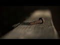 Canon EOS M | Magic Lantern Test Footage