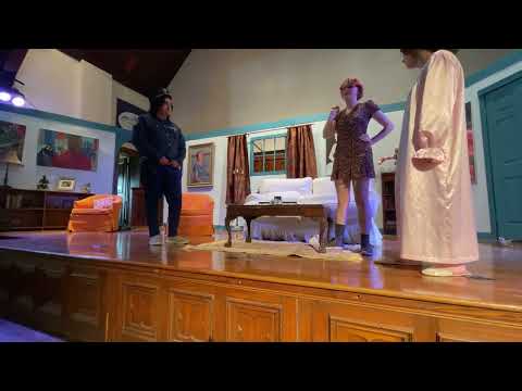 The Hague School & Generic Theater: Burglars, Bunglers, & Neighborhood Thieves, 2024