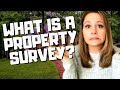 What is a Property Survey?