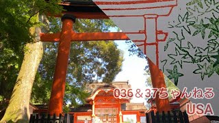 【番外編155】036&37ちゃんねる：完全オフモード。まったり、ダラダラ、とりとめなく。夕方、一杯やりながらお気楽に。イメージは「深夜ラジオ風」。不動産投資の話とかはしません。