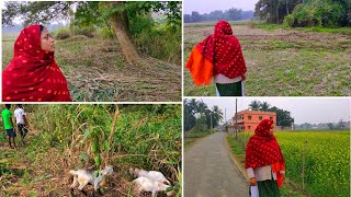 খুশির খবর আমাদের রান্না সালের কাজ শুরু হয়ে গেল, Mehek kitchen Vlog