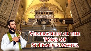 🙏🙏Veneration at the Tomb of St Francis Xavier 🙏  Basilica of Bom Jesus - 21 May 2024 #oldgoachurch