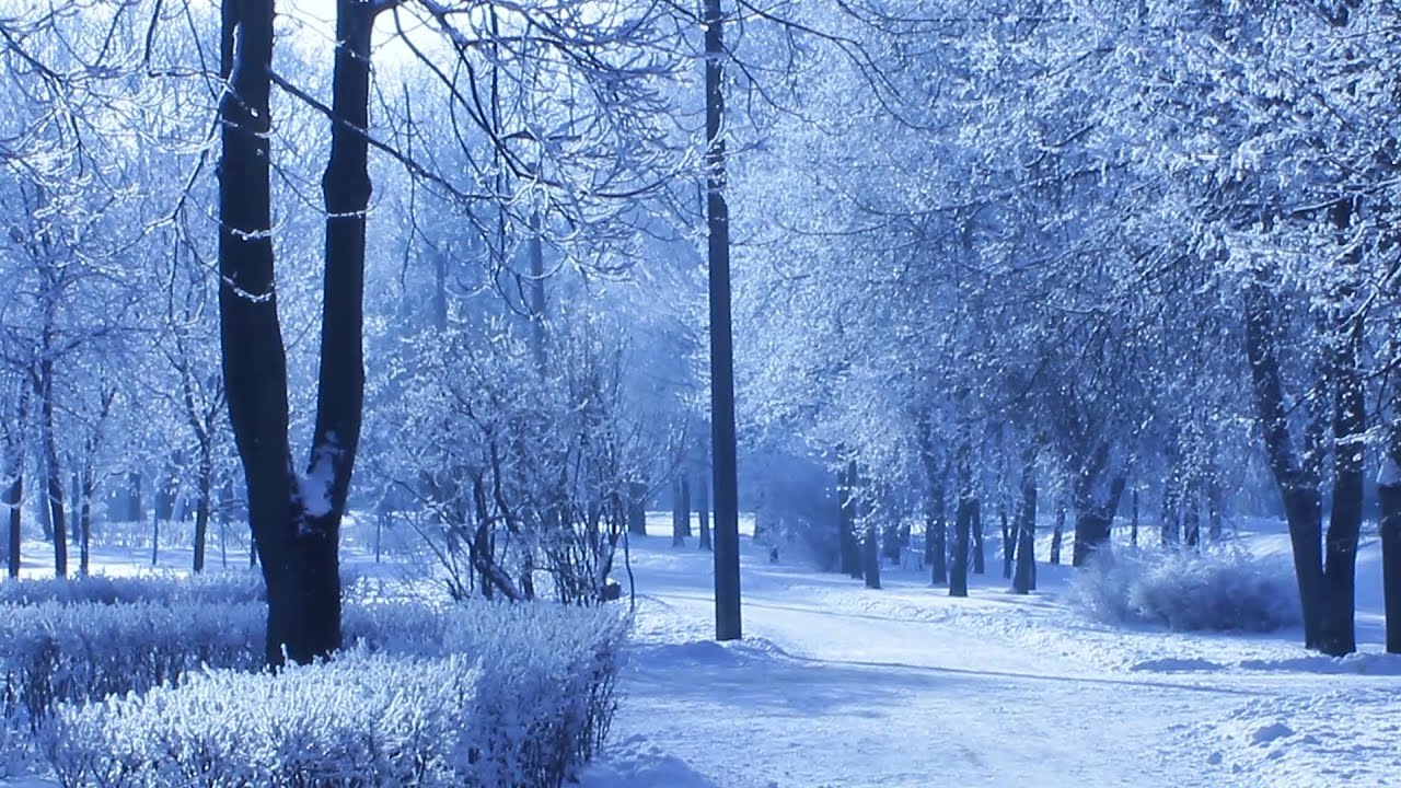 TranceMetallMasteR - фильм "Серебро Февраля"