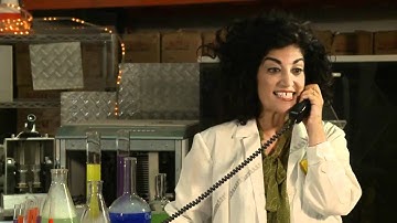 Past and Perfect tenses - Grammar Genius B - Unit 9