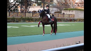 ドタードくんとウラカーンくんが可愛いダンスショー