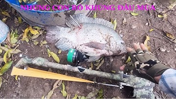 Những con rô cực khủng đầu mùa - Súng bắn cá V3