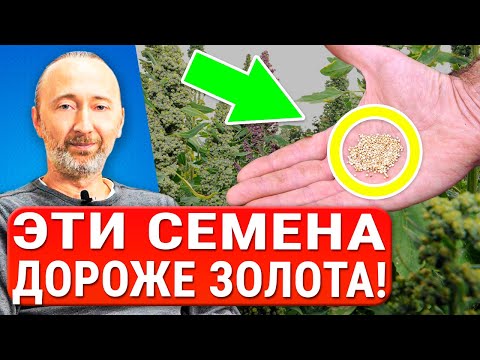 ОНА омолаживает кожу, активирует рост волос, сжигает жир, выводит токсины, улучшает зрение и нервы!