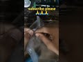 Mini Parachute Drop | Result Will Shock You! 🪂🔥 #Shorts
