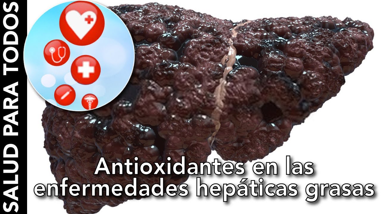 El rol del estrés oxidativo en la enfermedad hepática grasa | Salud ...