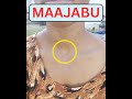 Njia Ya Kuondoa Kikohozi Njia Ya Kuondoa Kikohozi