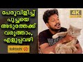 how to call cat by name malayalam |  | പേരുവിളിച്ച് പൂച്ചയെ അടുത്തേക്ക് വരുത്താനുള്ള എളുപ്പവഴി