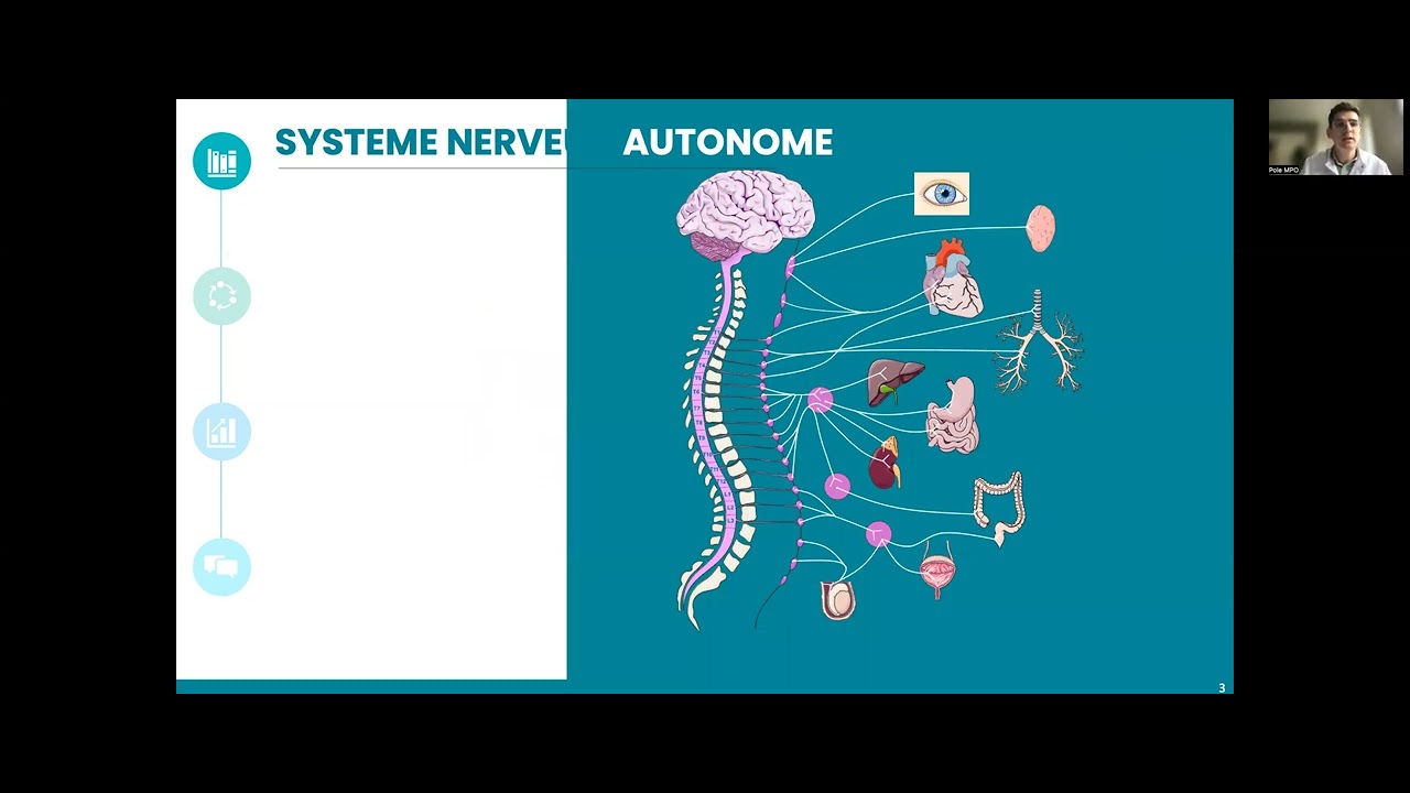 Bases de Neuroanatomie appliquée en Neuro Anesthésie-Réanimation