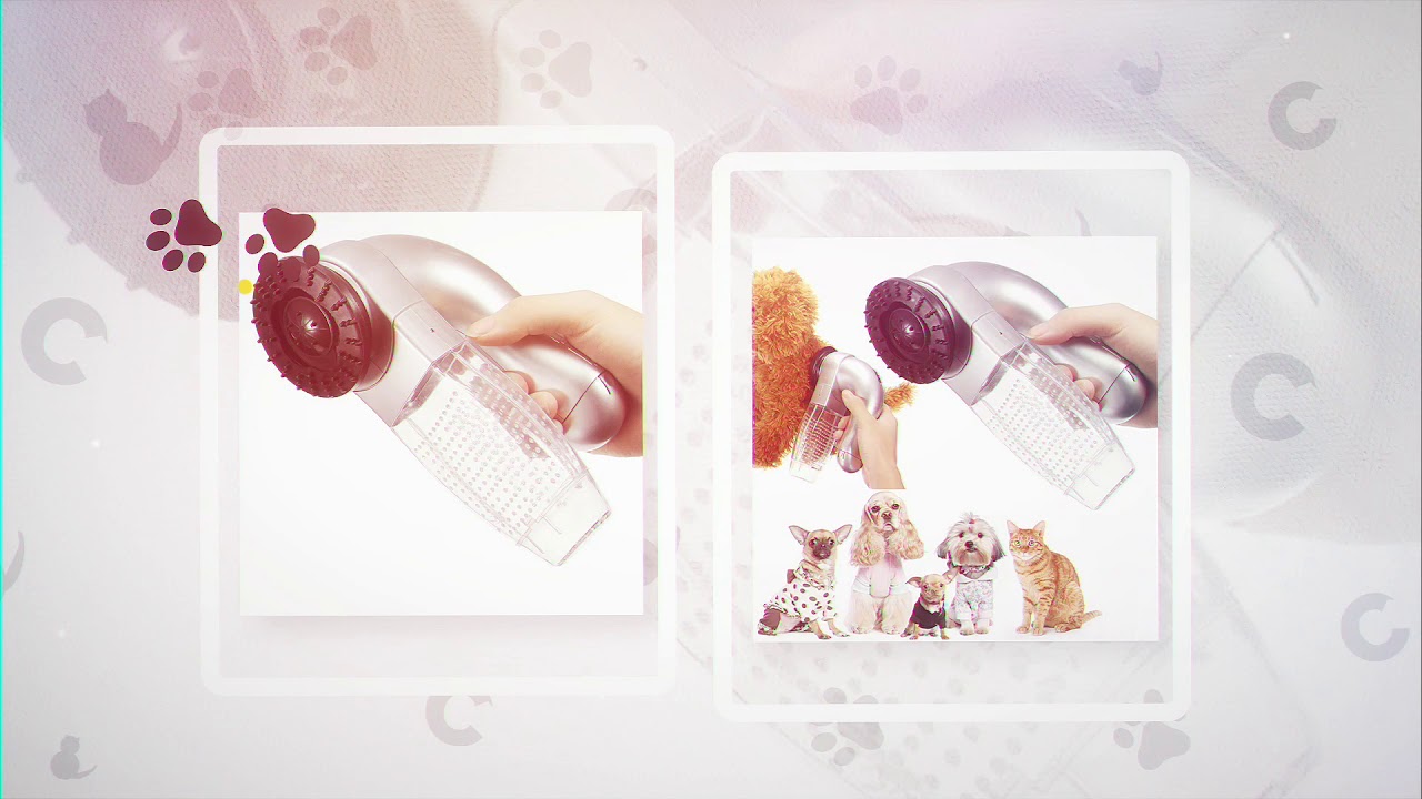 Pet Vacuum Cleaner - YouTube