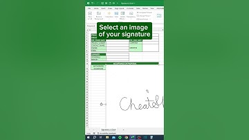 Signature in Excel‼️ #excel