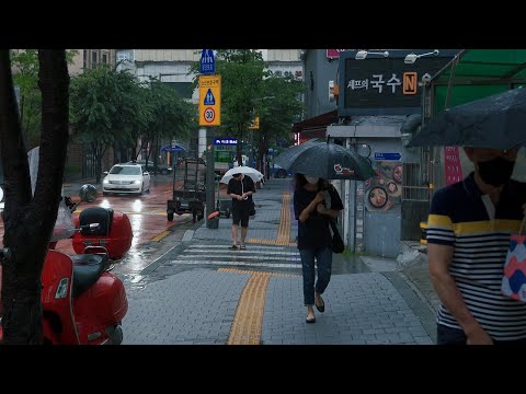 [4K Rain Walk] 이른아침, 동대후문에서 필동, 충무로. 비냄새 맡으며 상쾌한 하루가 시작됩니다.