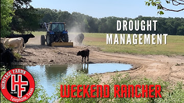 Drought Management,  Downsizing the Herd and Box Blading