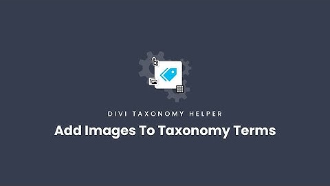 How To Add Images To Taxonomy Terms | Divi Taxonomy Helper Documentation