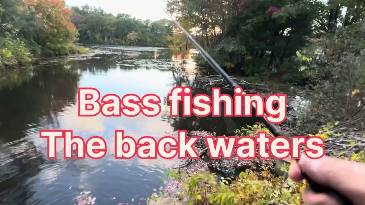 Fall Bass fishing extravaganza ￼