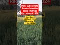 DSSSB Vacancy 2024 #dsssb #upsc #ytshorts #shorts #viral #ias #ssc #sscgd #motivation #motivational