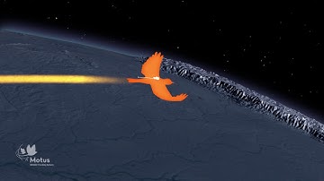 Motus Wildlife Tracking System