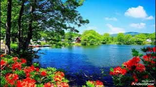 Hum Ayse Karenge Pyaar Ke Dunya (Eagle Jhankar) Movie:JAAN 1996 Singers:UDIT NARAYAN & SADHNA SARGAM