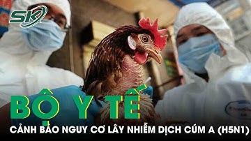 Bộ Y Tế Cảnh Báo Nguy Cơ Lây Nhiễm Dịch Cúm A(H5N1) Sang Người | SKĐS