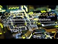 Conceitos Básicos de Arquitetura de Computadores