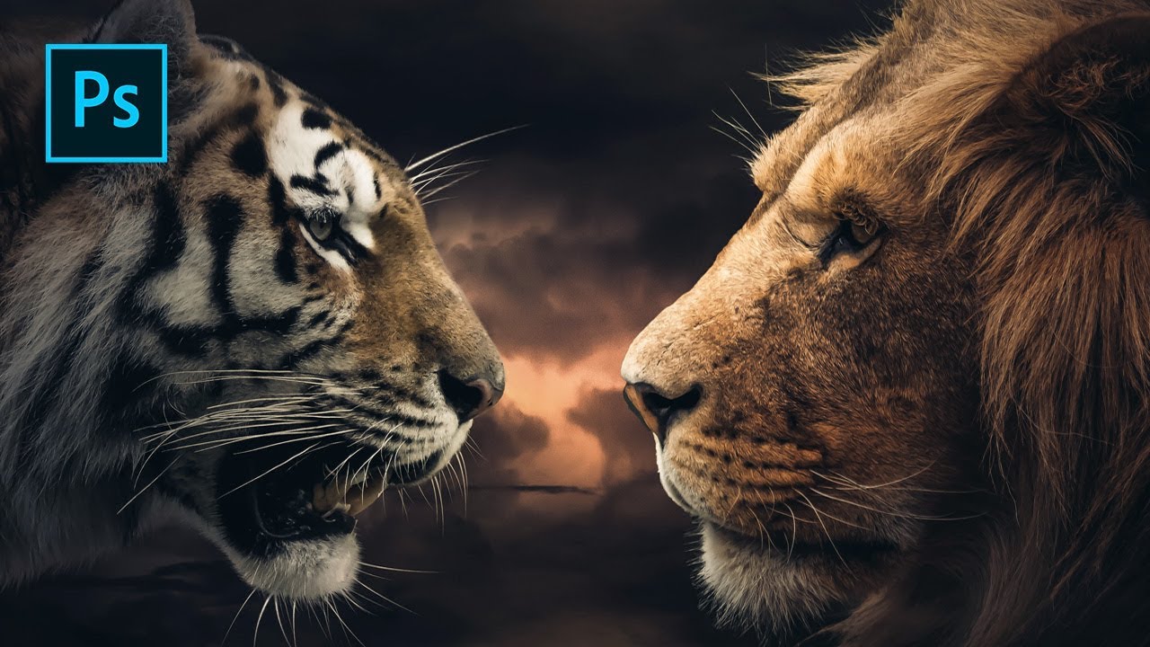 Photoshop Tutorial Animals Editing YouTube Photoshop Tutorial Animals Editing YouTube