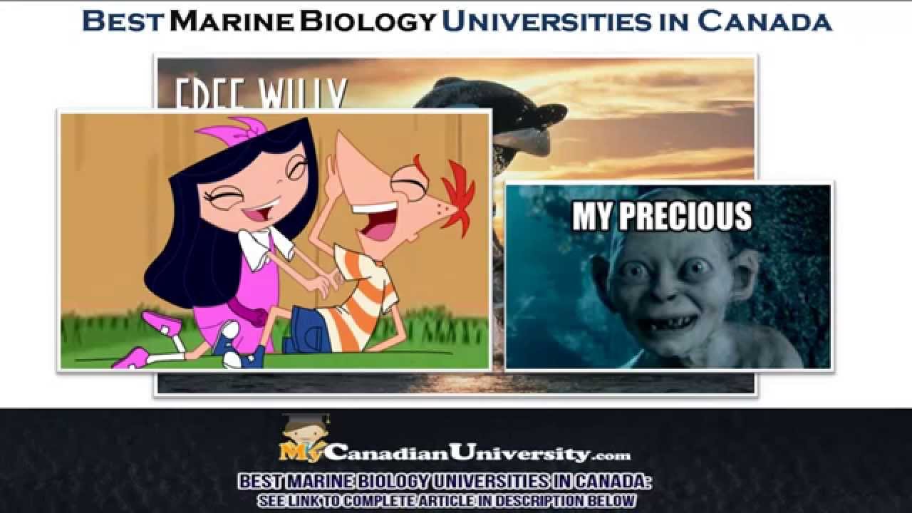 Best Marine Biology Universities In Canada YouTube Best Marine Biology Universities In Canada YouTube