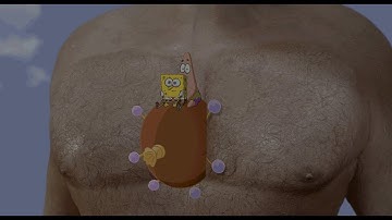 The SpongeBob SquarePants Movie (2004) - "Hasselhoff Launch Scene" [4K]