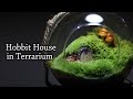 Hobbit House Terrarium [Mushroom Terrarium]