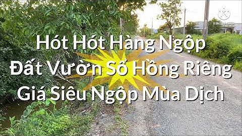 14.Hàng Ngộp Cần Bán Nhanh 189m2 Đất Vườn Sổ Hồng Riêng Chỉ 550tr Cách Đường Nhựa Chỉ 150m Giá Mềm.