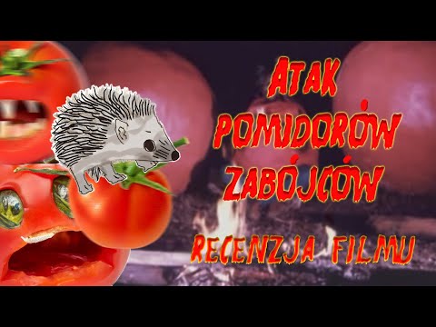 Atak pomidorów zabójców 