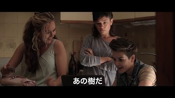 「オリーブの樹は呼んでいる」予告