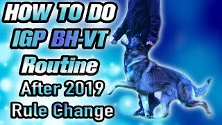 THE NEW schutzhund IPO IGP BH BHVT Exam Routine 2019 After Rule Change