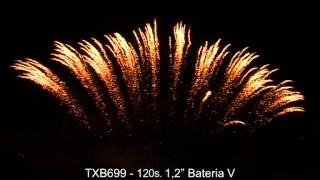 TXB699 120s 1.2 BATERIA V