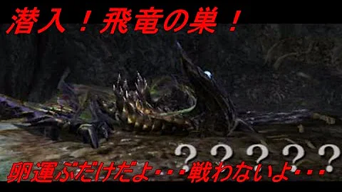 テスタモンハン潜入飛竜の巣