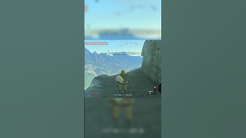 Infinite Height Glitch in TotK(Quick Smuggling) 1.2.0 Exclusive #totk