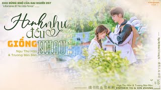 「Vietsub」Hình như đều giống nhau - Ngu Thư Hân & Trương Bân Bân • Khu rừng nhỏ của hai người OST ♡