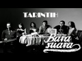 Barasuara Tarintih
