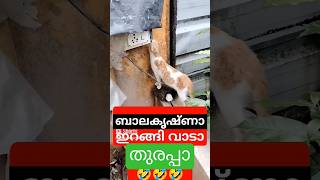 ഹംസക്കോയയോടാ കളി?? #youtube #yt #shorts #short #ytshort #funny #shortsfeed #youtubeshorts #viral