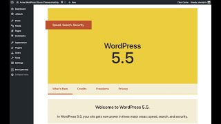 How to I update my  WordPress to 5.5 version   What's New in WordPress 5.5 Features